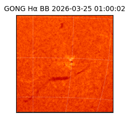 gong - 2026-03-25T01:00:02