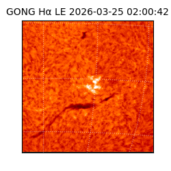 gong - 2026-03-25T02:00:42