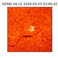 gong - 2026-03-25T03:00:42