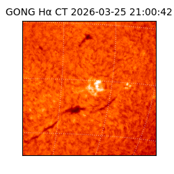 gong - 2026-03-25T21:00:42