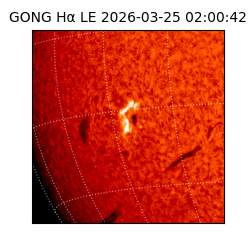 gong - 2026-03-25T02:00:42