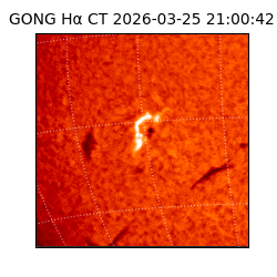 gong - 2026-03-25T21:00:42