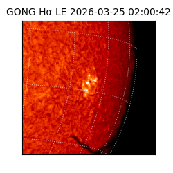gong - 2026-03-25T02:00:42