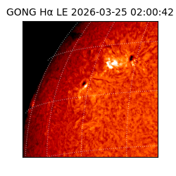 gong - 2026-03-25T02:00:42