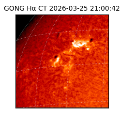 gong - 2026-03-25T21:00:42