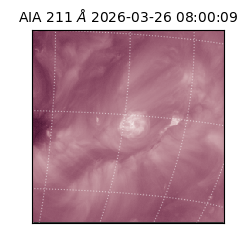 saia - 2026-03-26T08:00:09.630000