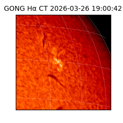 gong - 2026-03-26T19:00:42