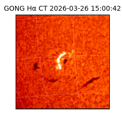 gong - 2026-03-26T15:00:42