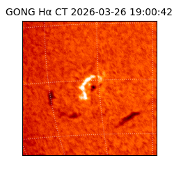 gong - 2026-03-26T19:00:42