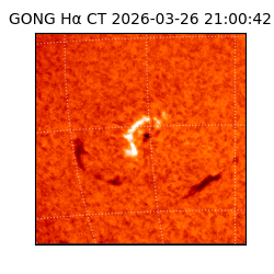 gong - 2026-03-26T21:00:42