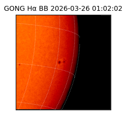 gong - 2026-03-26T01:02:02