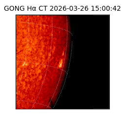 gong - 2026-03-26T15:00:42