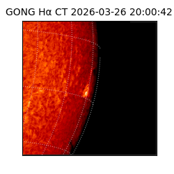 gong - 2026-03-26T20:00:42