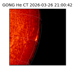 gong - 2026-03-26T21:00:42