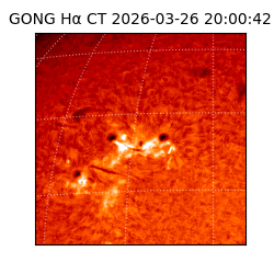 gong - 2026-03-26T20:00:42