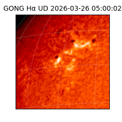 gong - 2026-03-26T05:00:02