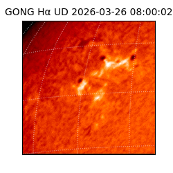 gong - 2026-03-26T08:00:02