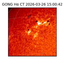 gong - 2026-03-26T15:00:42