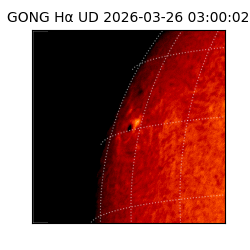 gong - 2026-03-26T03:00:02