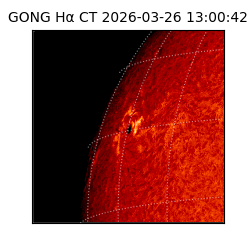 gong - 2026-03-26T13:00:42