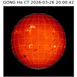 gong - 2026-03-26T20:00:42