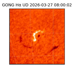 gong - 2026-03-27T08:00:02