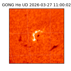 gong - 2026-03-27T11:00:02