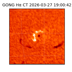 gong - 2026-03-27T19:00:42