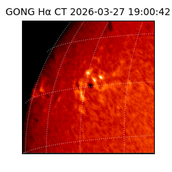 gong - 2026-03-27T19:00:42