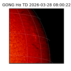 gong - 2026-03-28T08:00:22