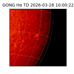 gong - 2026-03-28T10:00:22