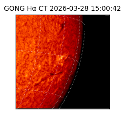gong - 2026-03-28T15:00:42