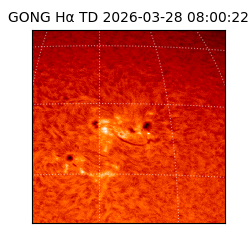 gong - 2026-03-28T08:00:22