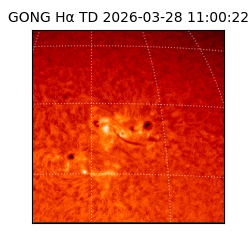 gong - 2026-03-28T11:00:22