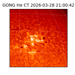 gong - 2026-03-28T21:00:42