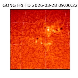 gong - 2026-03-28T09:00:22