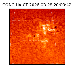 gong - 2026-03-28T20:00:42