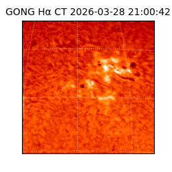 gong - 2026-03-28T21:00:42