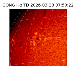 gong - 2026-03-28T07:50:22