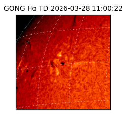 gong - 2026-03-28T11:00:22