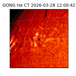 gong - 2026-03-28T12:00:42