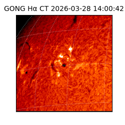 gong - 2026-03-28T14:00:42