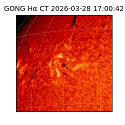 gong - 2026-03-28T17:00:42