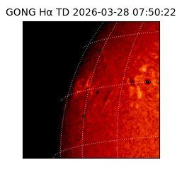gong - 2026-03-28T07:50:22