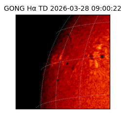 gong - 2026-03-28T09:00:22
