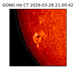 gong - 2026-03-28T21:00:42