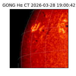 gong - 2026-03-28T19:00:42