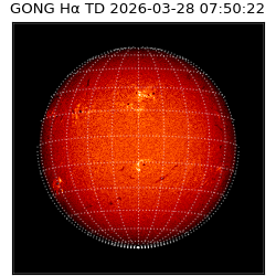 gong - 2026-03-28T07:50:22
