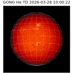 gong - 2026-03-28T10:00:22