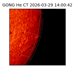 gong - 2026-03-29T14:00:42